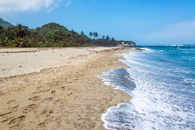 Scenic view of beach and sea against blue sky at tayrona national park