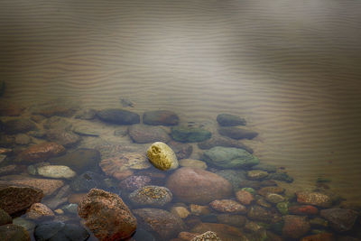 High angle view of rocks in sea