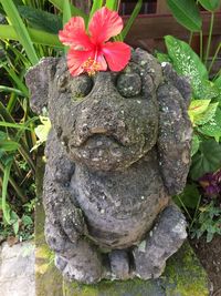 Close-up of flower growing on plant