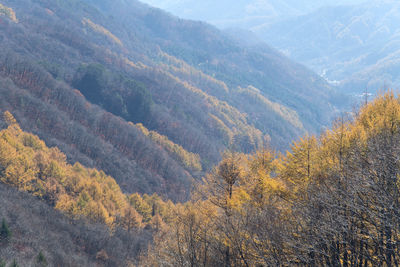 Scenic view of the autumn mountains