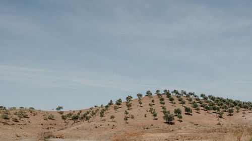 Panoramic view of desert against sky