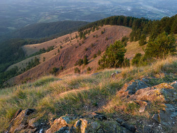 Scenic view of landscape