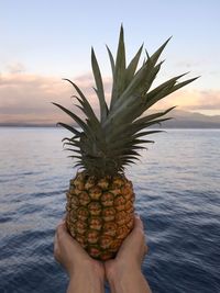 Cropped hand of woman holding pineapple against sea during sunset