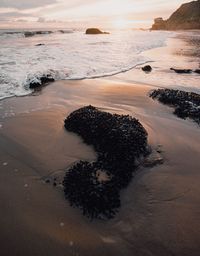 High angle view of rock on beach