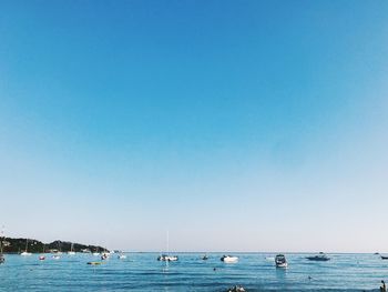 Sailboats in sea against clear blue sky