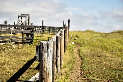 Cattle corral in the united states