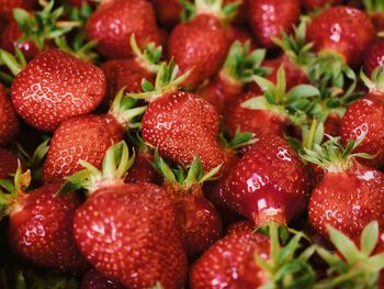 Close-up of strawberries