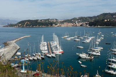 Boats in harbor