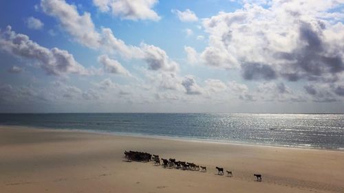 Scenic view of beach against cloudy sky