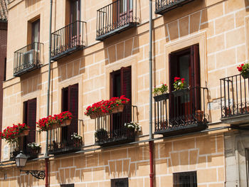 Low angle view of potted plants on building