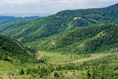 Scenic view of green landscape against sky