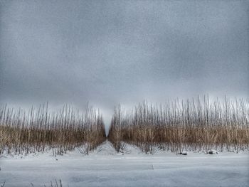 Scenic view of snow covered field