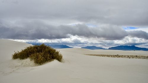 Scenic view of desert against sky