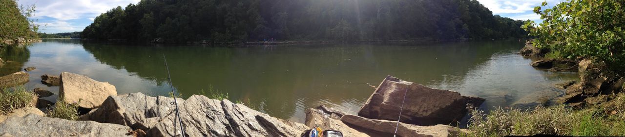 reflection, water, outdoors, nature, day, tree, lake, no people, animal themes