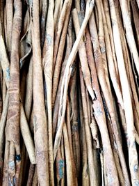 Full frame shot of bamboo on tree trunk