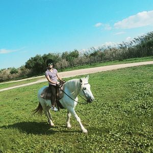 Man riding horse on field
