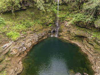 High angle view of waterfall in forest