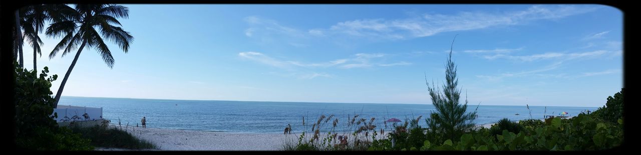 sea, horizon over water, water, beach, transfer print, sky, tranquility, tranquil scene, scenics, beauty in nature, shore, tree, nature, auto post production filter, sand, coastline, cloud, idyllic, palm tree, growth