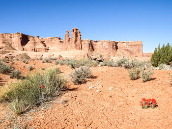 Rock formations on landscape against clear sky