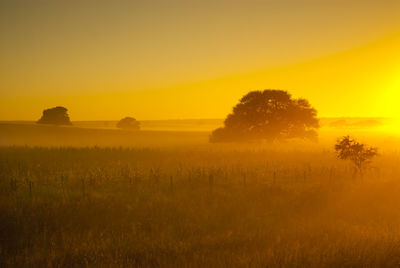 Scenic view of field against sky during sunset