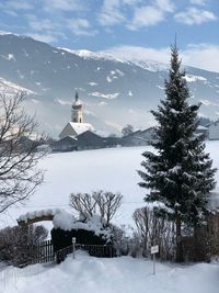 Snow covered trees and buildings against sky