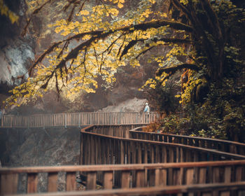 Mid distance of man standing on footbridge in forest