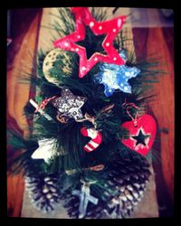 Close-up of red rose