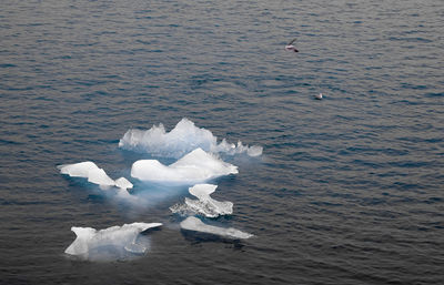 High angle view of frozen floating on lake