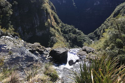 Scenic view of waterfall in forest