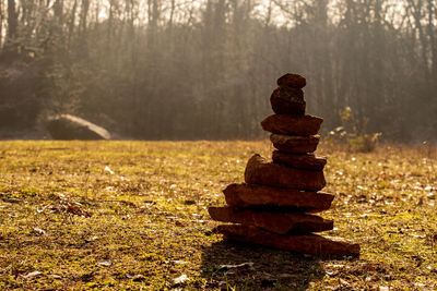 Stack of stones on field