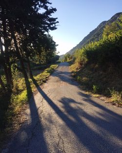 Narrow road leading towards trees