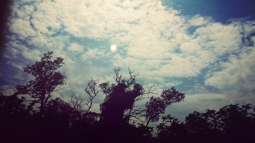 Low angle view of trees against cloudy sky
