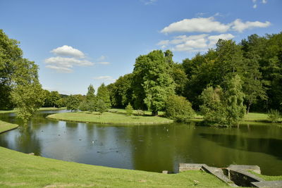 Scenic view of lake by trees against sky