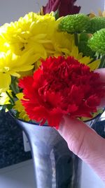 Close-up of red flowers