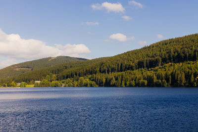 Scenic view of lake by trees against sky