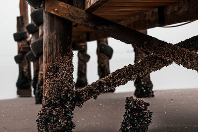 Close-up of rusty pier over sea against sky
