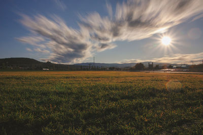 Scenic view of field against bright sun