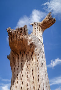 Low angle view of tree against blue sky