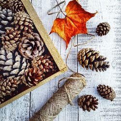 Close-up of dry autumn leaves