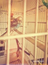 People in cage seen through window