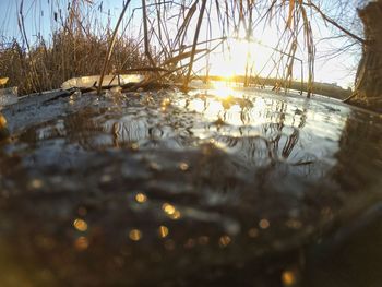 Close-up of lake against sky during sunset