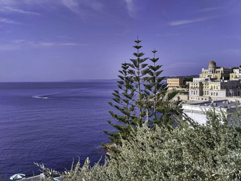 Plants by sea and buildings against sky