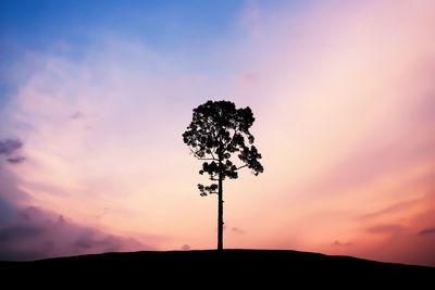 Low angle view of silhouette tree against sky during sunset