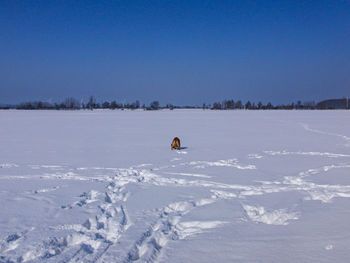 Scenic view of snow on field against clear sky during winter