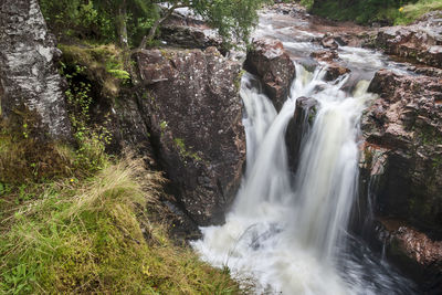 Scenic view of waterfall in forest