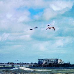 Seagull flying over sea against cloudy sky