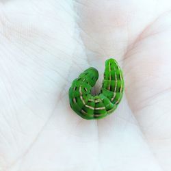 Close-up of hand holding green leaf