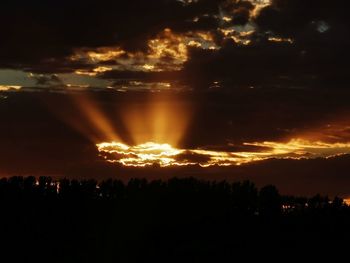 Silhouette trees against dramatic sky during sunset