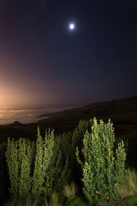 Scenic view of field against sky at night