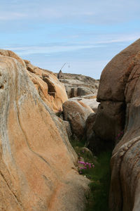 Rock formations, wild flowers and the lighthouse at verdens ende